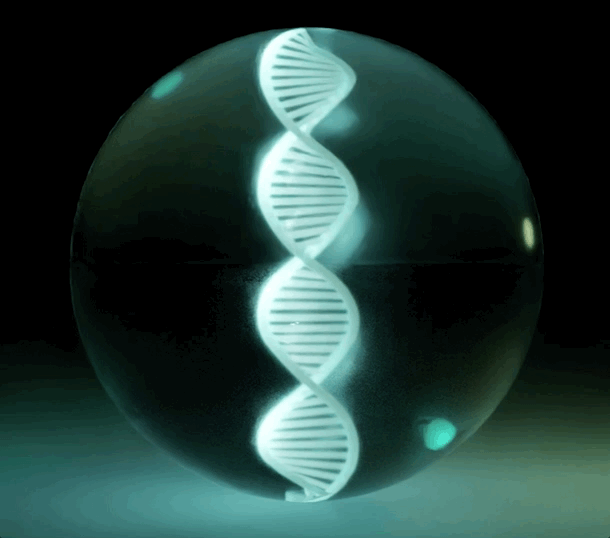 Animation of the eight-step material encoding sequence
